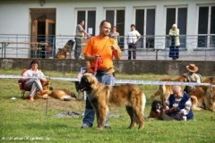 071_gwen_svojanov_svod_mladych-20