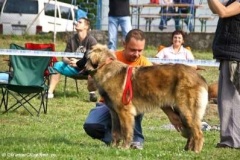 071_gwen_svojanov_svod_mladych-3