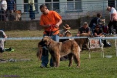 071_gwen_svojanov_svod_mladych-4
