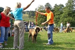 071_gwen_svojanov_svod_mladych-5