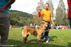 071_gwen_svojanov_svod_mladych-6