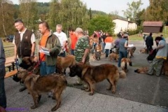 071_gwen_svojanov_svod_mladych-7