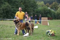 072_bard_gwen_nejhezci_par_psu_svojanov-8