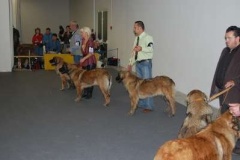 073_gwen_svetova_vp_bratislava-10
