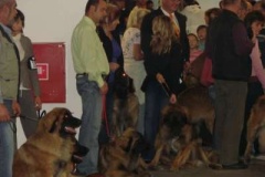 073_gwen_svetova_vp_bratislava-11