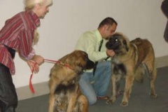 073_gwen_svetova_vp_bratislava-12