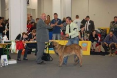 073_gwen_svetova_vp_bratislava-13