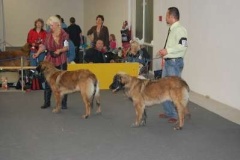 073_gwen_svetova_vp_bratislava-15