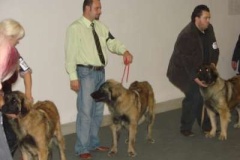 073_gwen_svetova_vp_bratislava-16