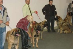 073_gwen_svetova_vp_bratislava-17
