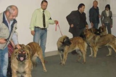 073_gwen_svetova_vp_bratislava-18