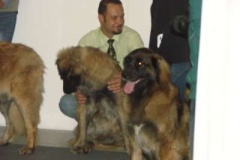 073_gwen_svetova_vp_bratislava-3