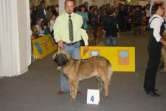 073_gwen_svetova_vp_bratislava-4