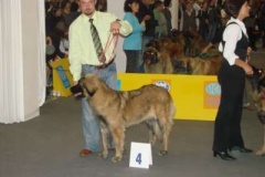 073_gwen_svetova_vp_bratislava-5