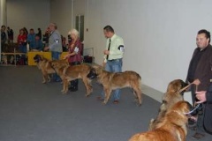 073_gwen_svetova_vp_bratislava-6