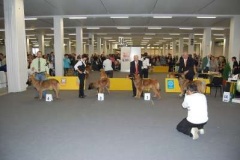 073_gwen_svetova_vp_bratislava-8