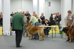 074_bard_svetova_vp_bratislava-3