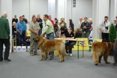 074_bard_svetova_vp_bratislava-4