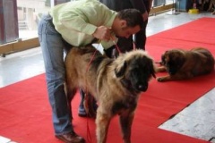 075_gwen_nvp-1