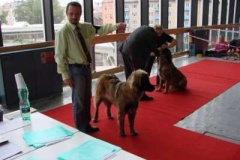 075_gwen_nvp-2