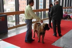 075_gwen_nvp-4