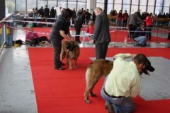 075_gwen_nvp-5