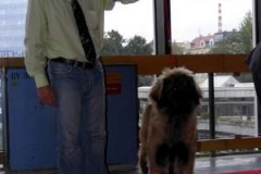 075_gwen_nvp-7