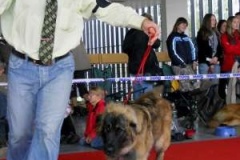 075_gwen_nvp-8