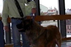 076_bard_nvp-1