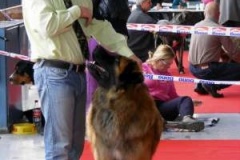 076_bard_nvp-3