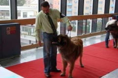 076_bard_nvp-5