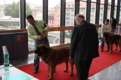 076_bard_nvp-6