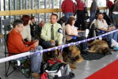 076_bard_nvp-8