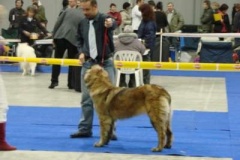 077_gwen_mvp_praha-1