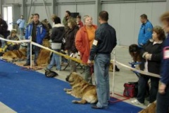 077_gwen_mvp_praha-3