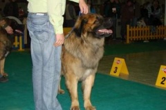 079_bard_mvp_nitra-2