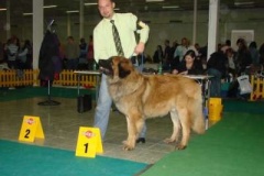 079_bard_mvp_nitra-4