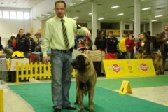 080_qwen_mvp_nitra-2
