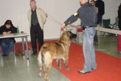 081_gwen_mvp_nitra-1