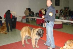 081_gwen_mvp_nitra-2