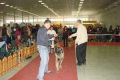 081_gwen_mvp_nitra-3