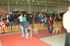 081_gwen_mvp_nitra-4