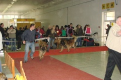 082_bard_mvp_nitra-3