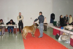 082_bard_mvp_nitra-4