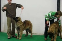 083_gwen_hanacka_nvp_olomouc-12