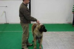 083_gwen_hanacka_nvp_olomouc-2