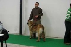 083_gwen_hanacka_nvp_olomouc-3