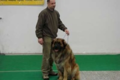 084_bard_hanacka_nvp_olomouc-1