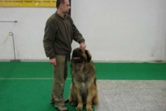 084_bard_hanacka_nvp_olomouc-6