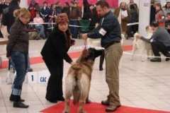 085_gwen_mvp_trencin-10